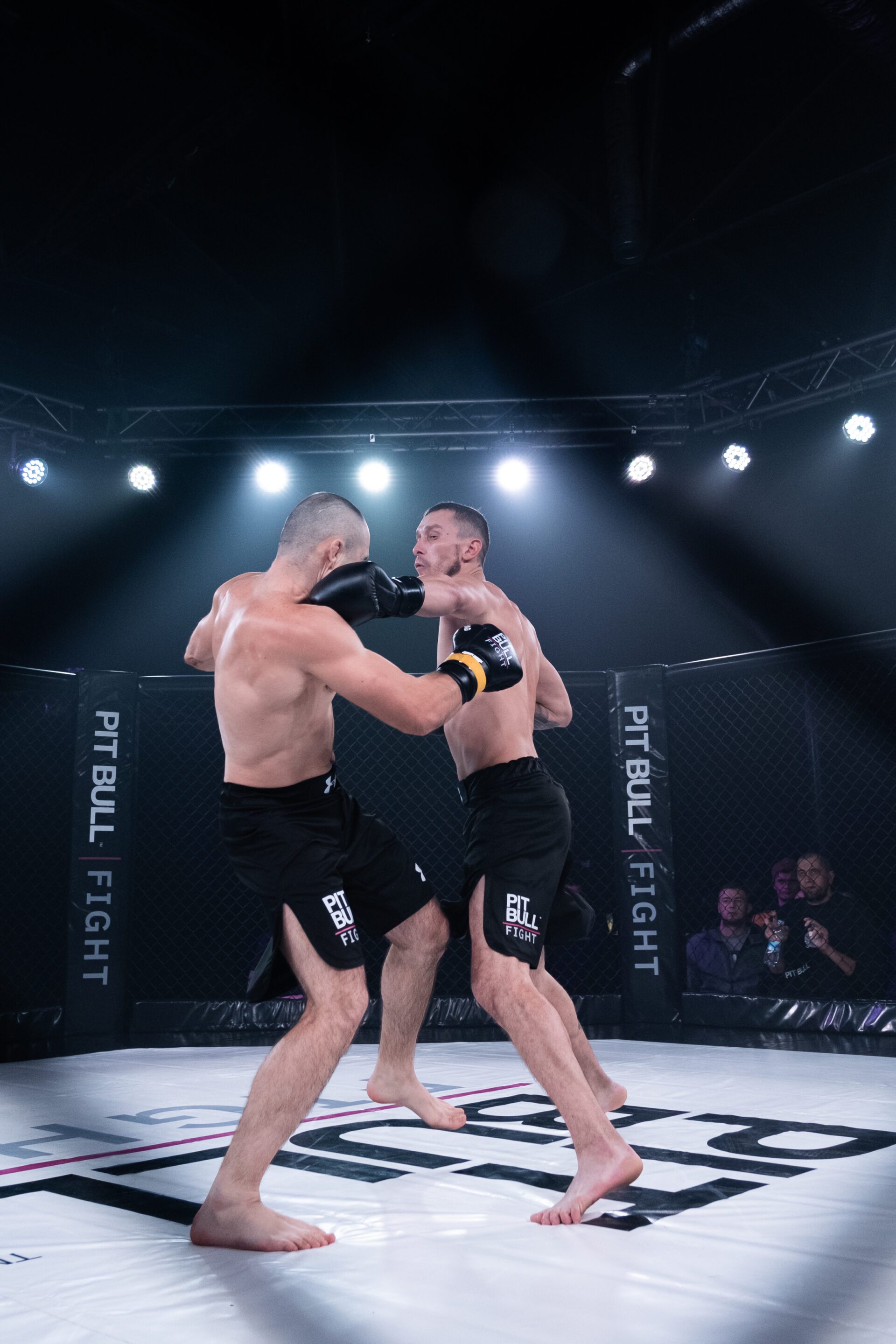 P.A.L.A.C.H vs Experienced MMA Fighter: Watch the First YouTube Video of Pit Bull Fight With the Ukrainian Military Taking Part