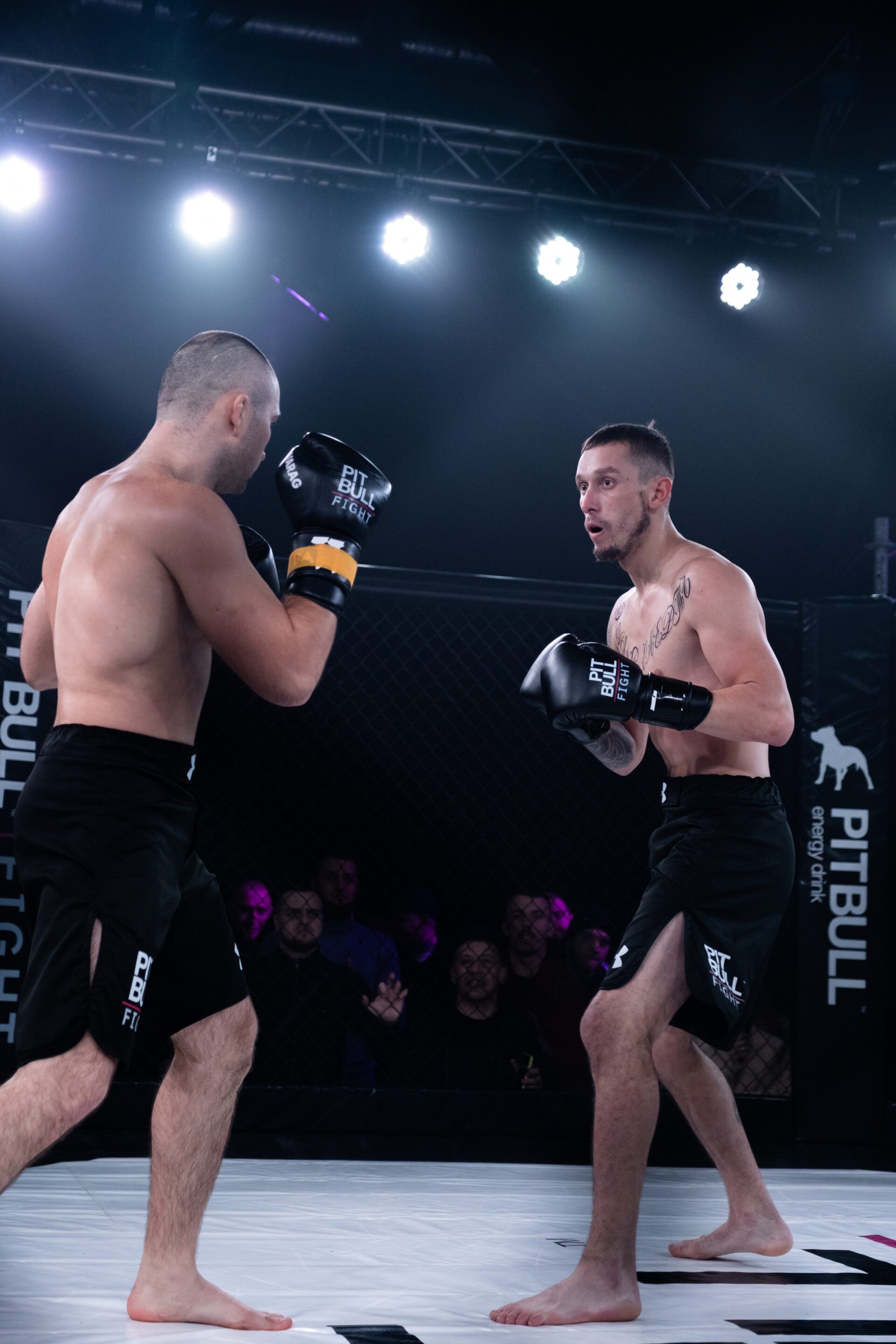 P.A.L.A.C.H vs Experienced MMA Fighter: Watch the First YouTube Video of Pit Bull Fight With the Ukrainian Military Taking Part